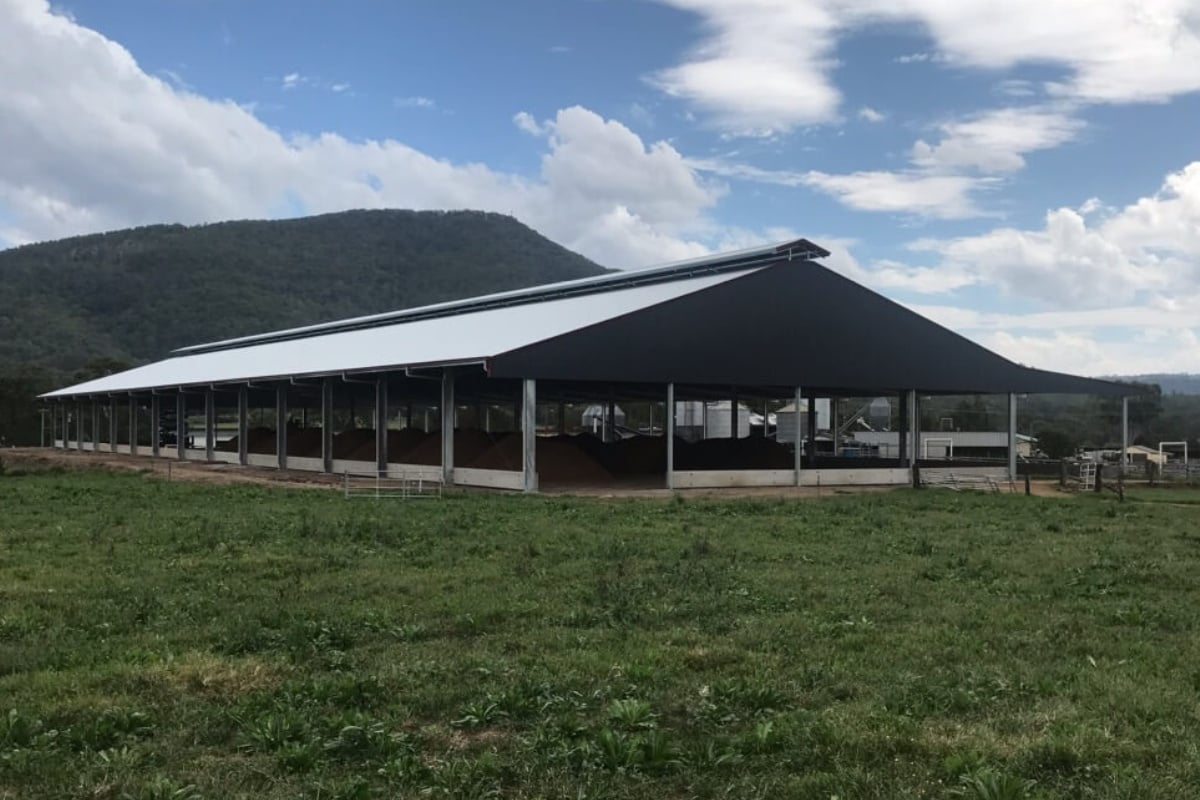 ABC Sheds' feedlot shelter.