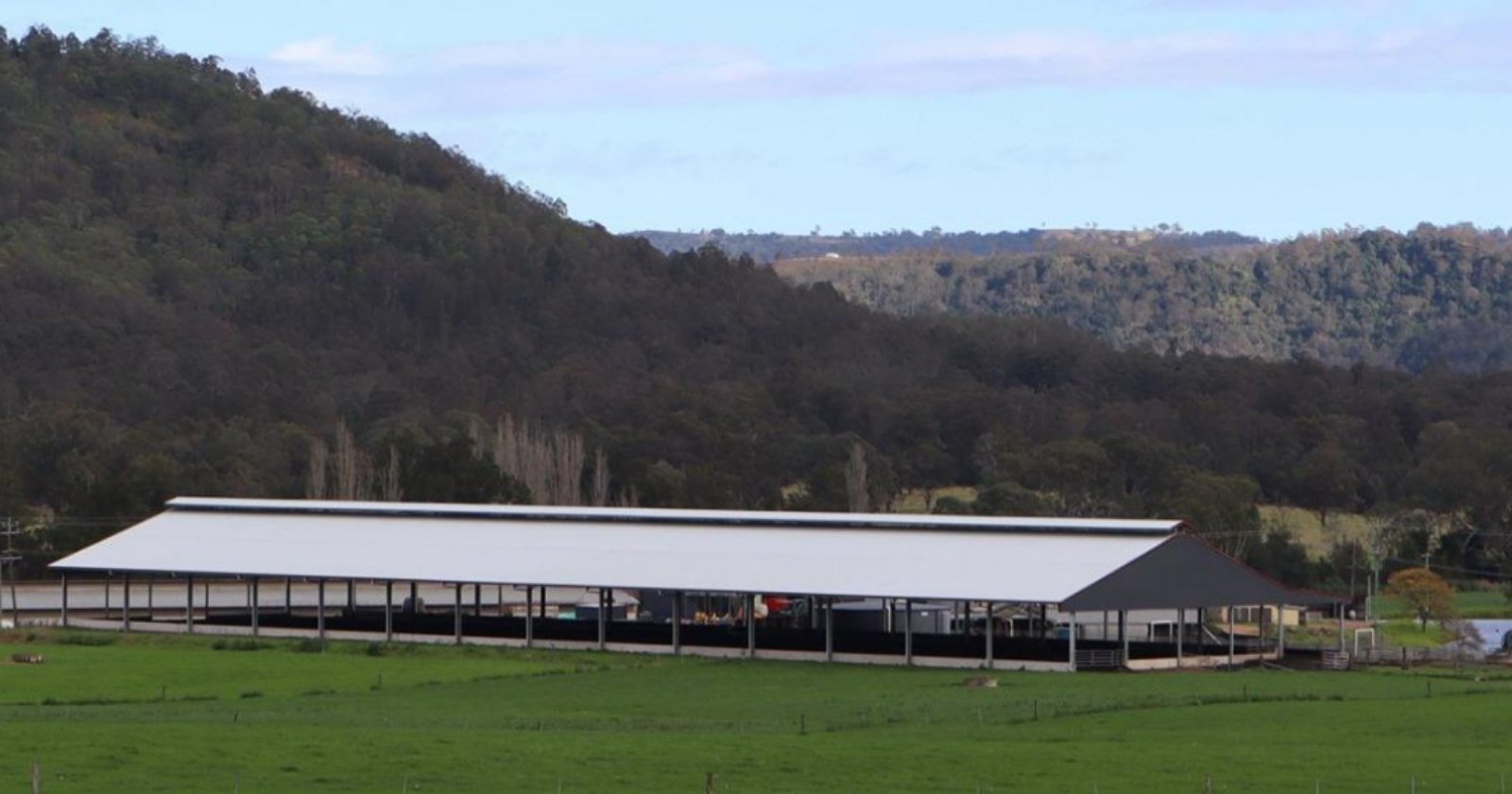 Large dairy farm shed by ABC Sheds
