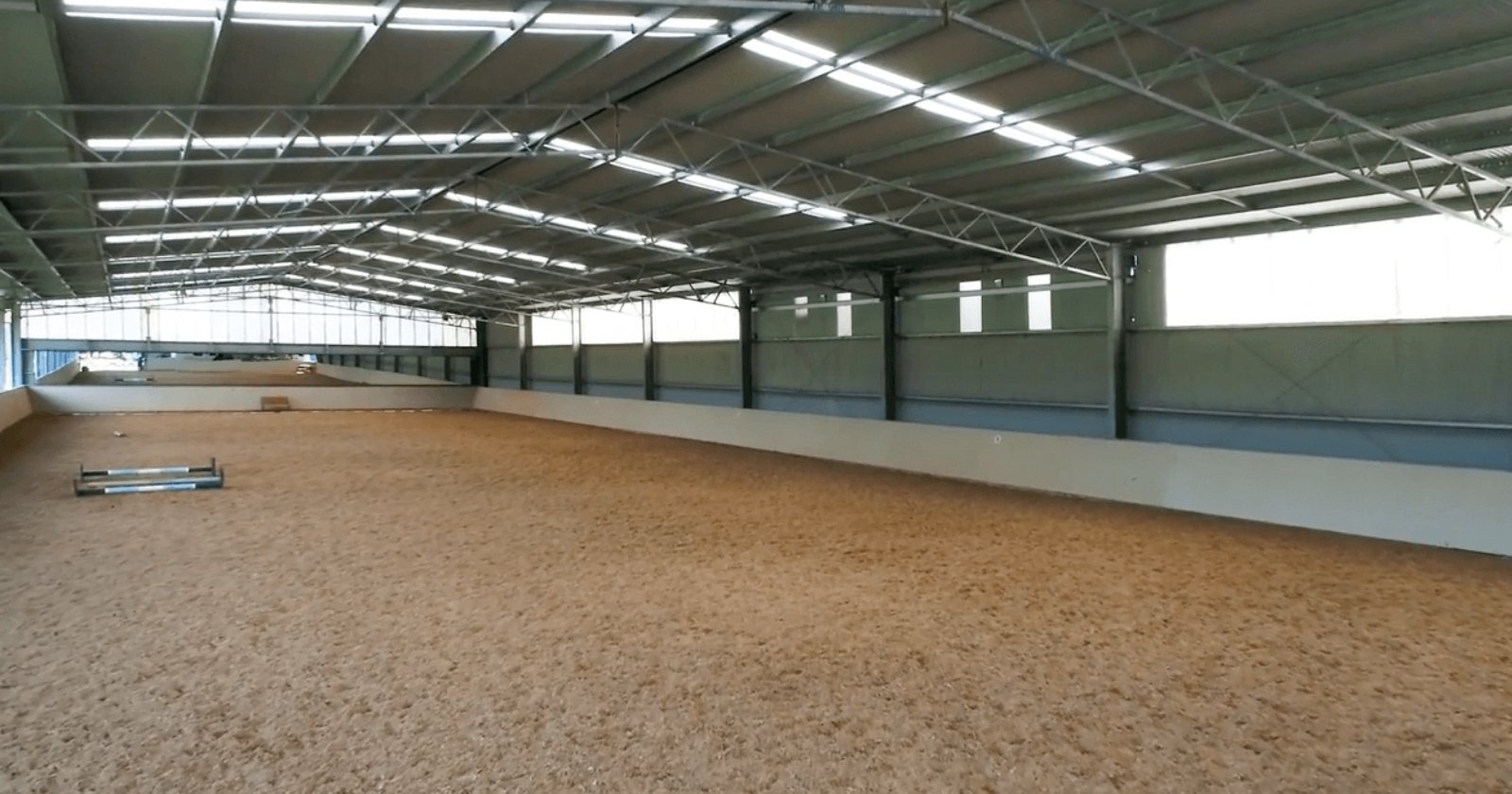 Best dressage arena 2026