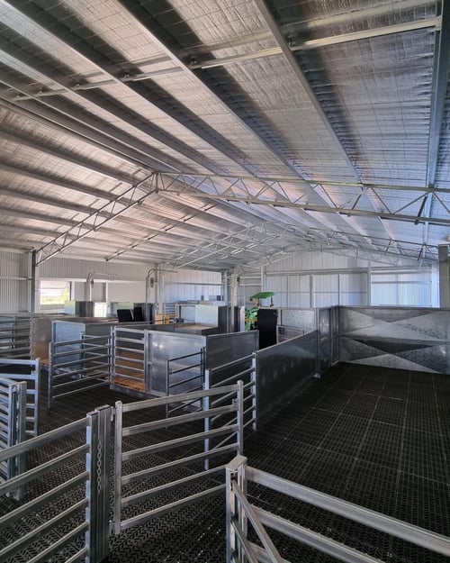 Shearing sheds by ABC Sheds