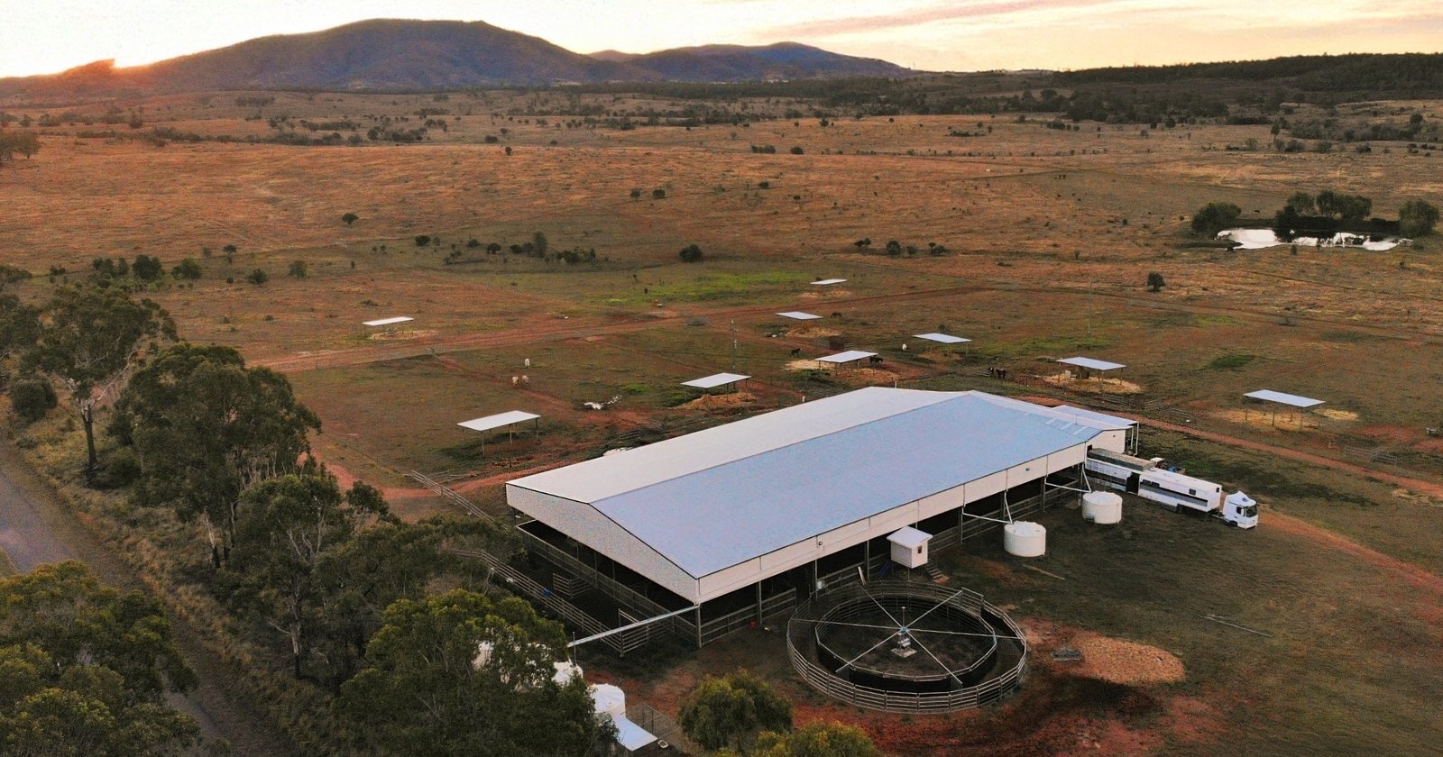 Shed company near me