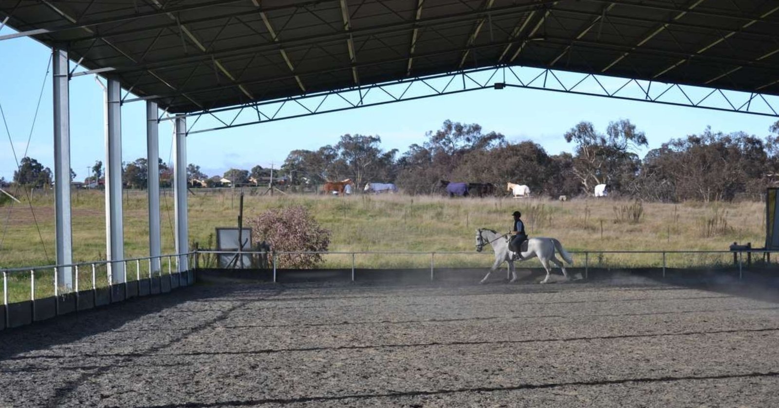 Roof only horse arena by Standwell