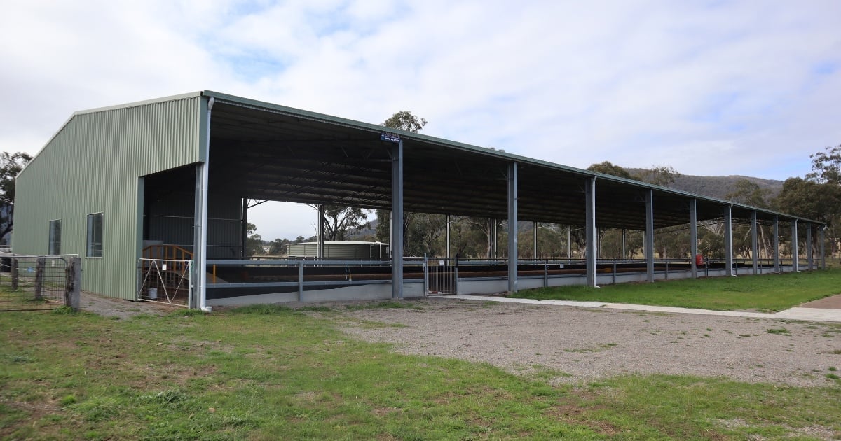 Discover our most extended dressage arena.