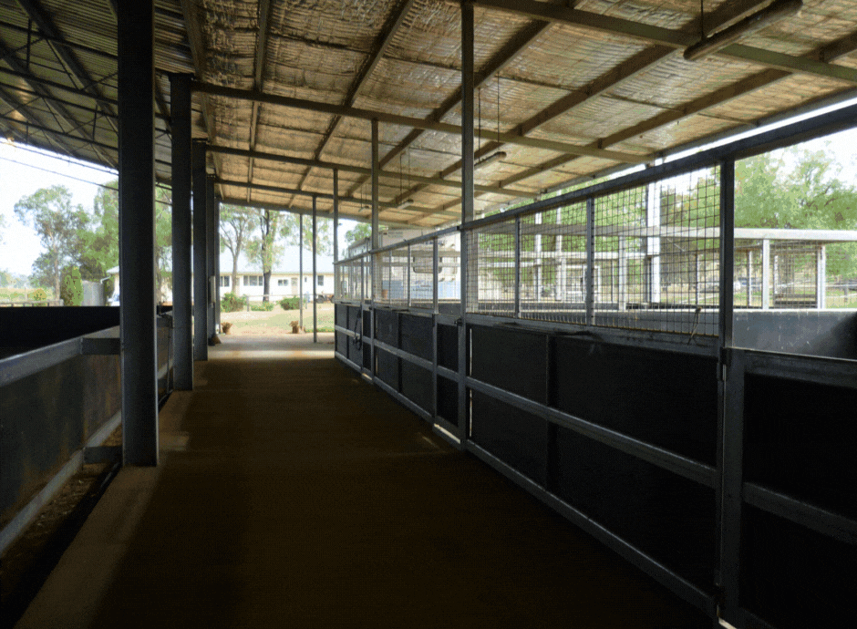 Gwandalan Stables dressage arena by ABC Sheds
