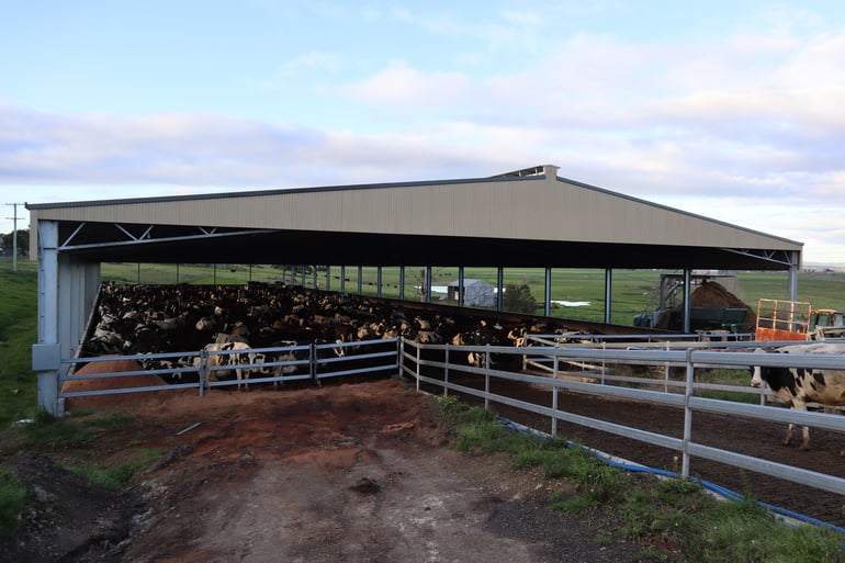 ABC Sheds Feedlot.