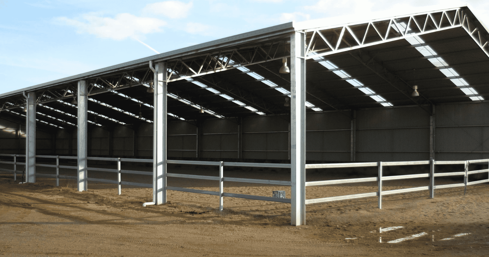 Horse Arena Designs