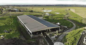 7 Benefits of Australian Steel Sheds in 2026