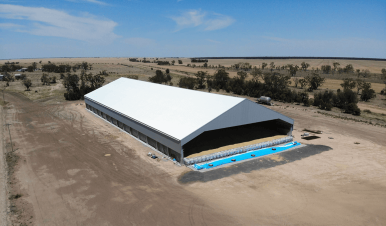 Advantages and disadvantages of grain sheds