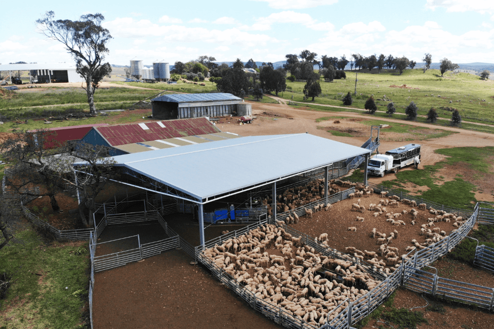 ABC Sheds yard cover