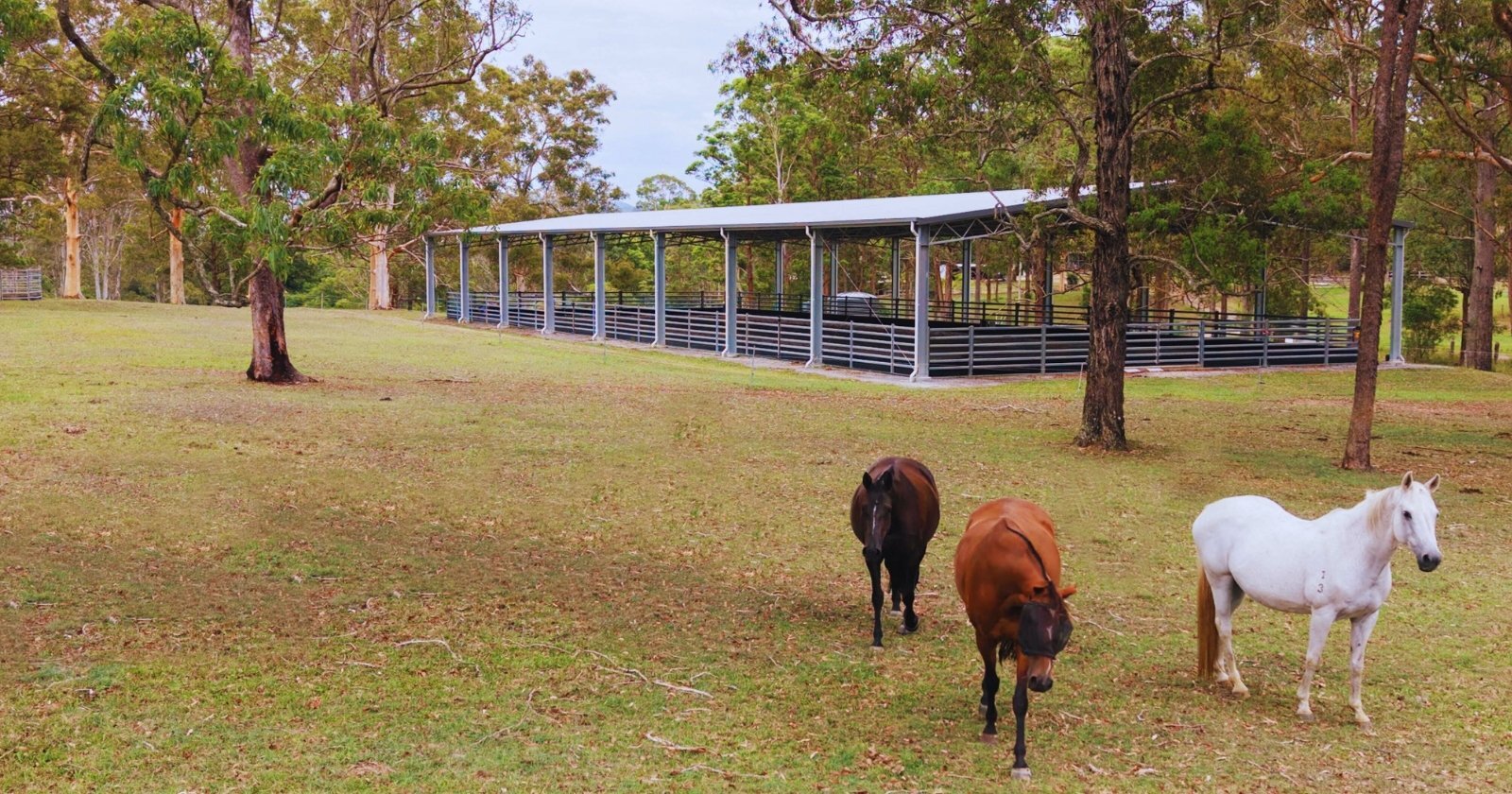 Best Horse Arena Designs for Busy Riding Schools in Australia