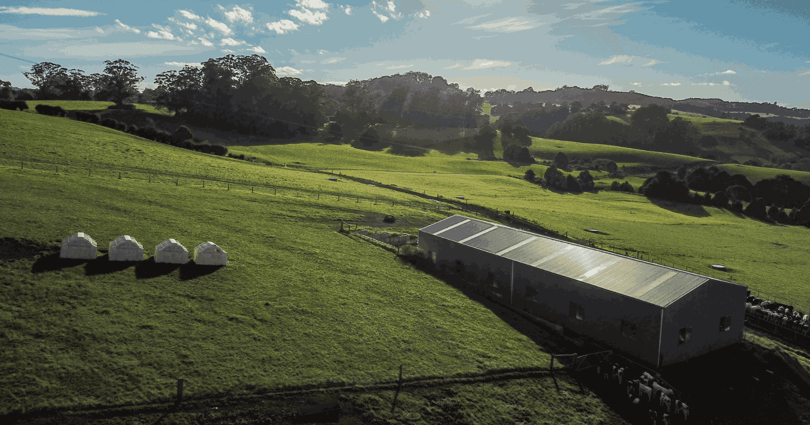 How long does a farm shed last, and what affects its lifespan?