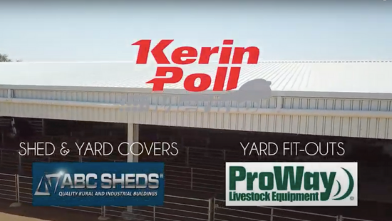 Kerin Poll merino sheds built by ABC Sheds.