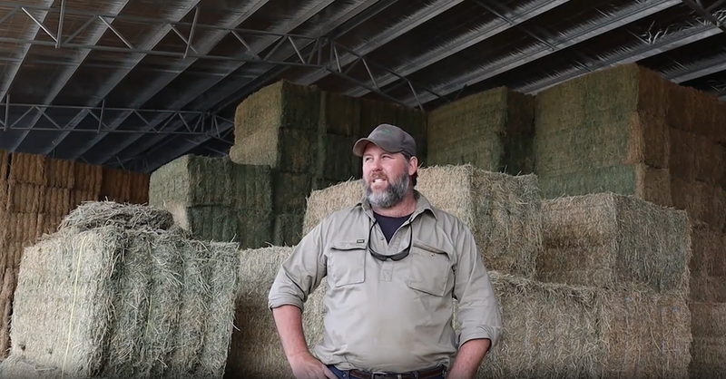 Michael Delaney Testimonial